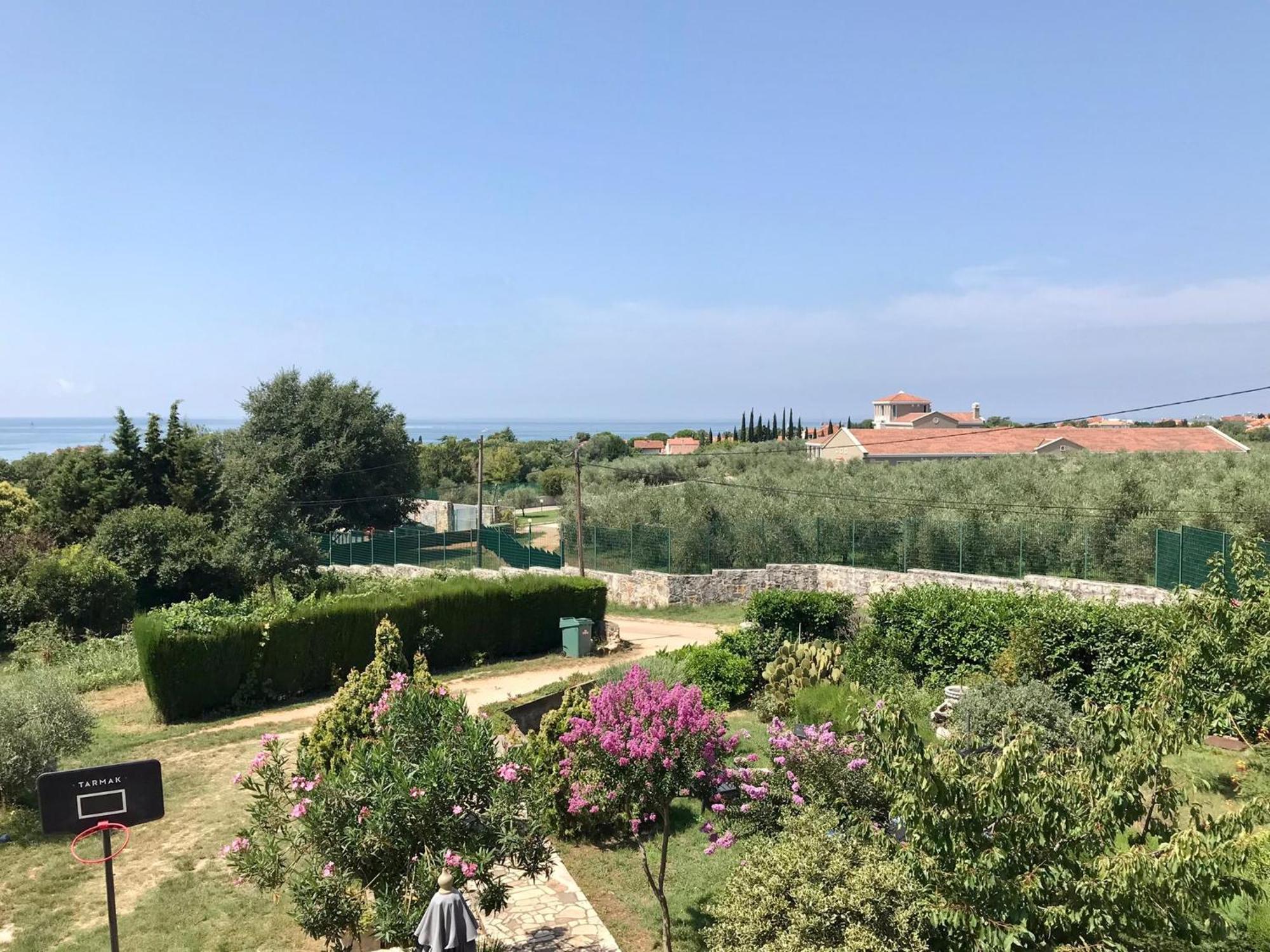 New Apartment Vivano V I D With Amazing View 赞布雷提亚 外观 照片